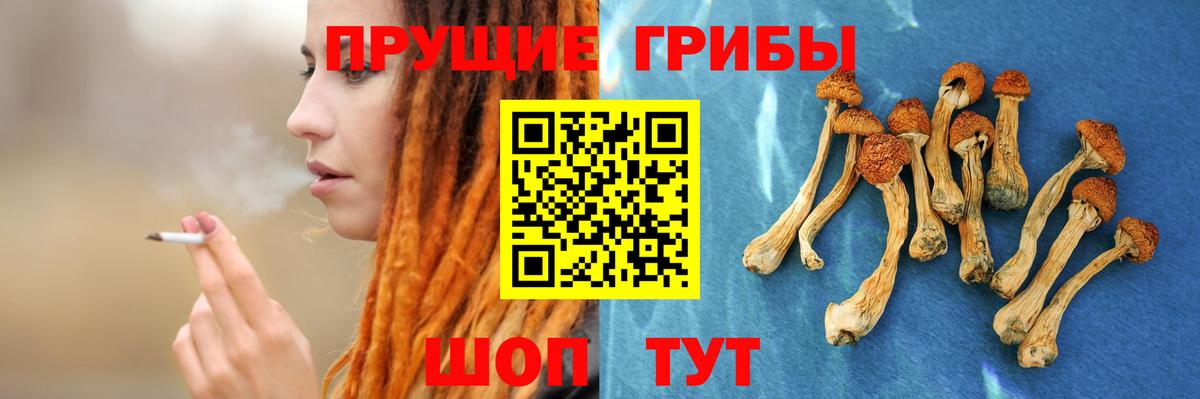 Маркс  закладки  Вход с VPN  Галлюциногенные грибы мухоморы 